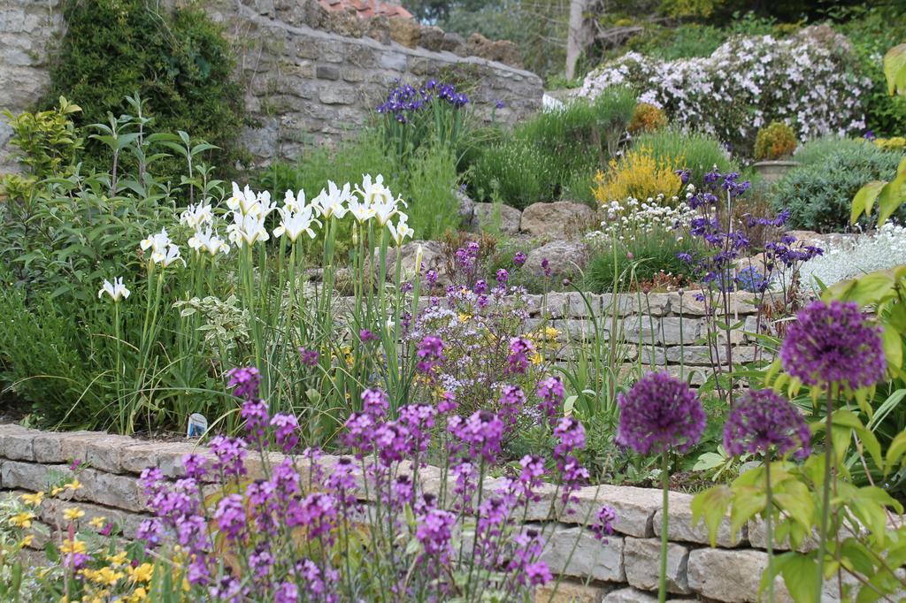 Roundhill Farmhouse Kelston 외부 사진